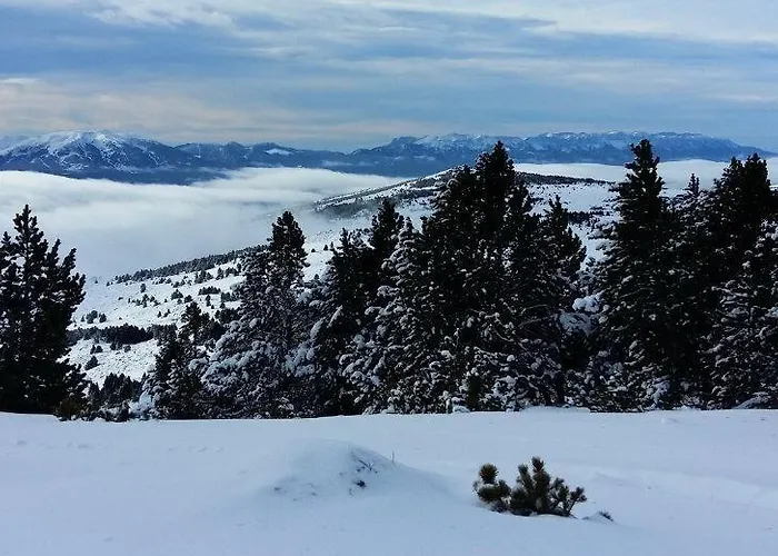 Ruso Sc Vandrerhjem *